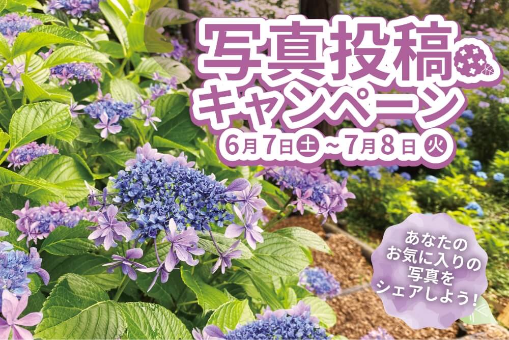 写真投稿キャンペーン 6月7日(土)〜7月8日(火)