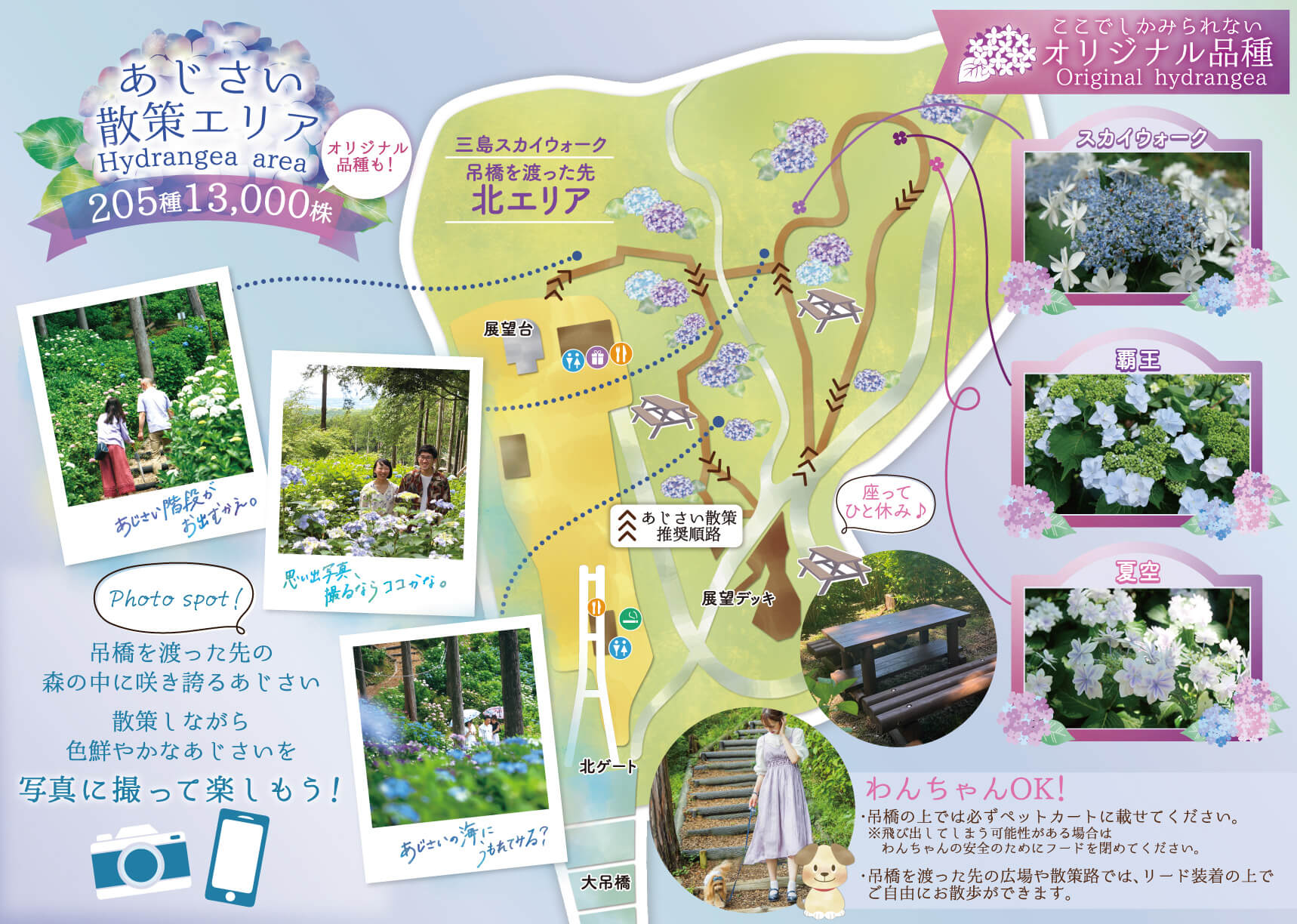 三島スカイウォーク あじさい散策エリア マップ