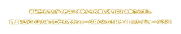 夕景から夜景に移り変わる空やつり橋からの景色は普段見ることができない絶景を見ていただきたいと始めた『ナイトスカイウォーク』。頭上に広がる迫力ある圧巻の花火ショーが見られるのはナイトスカイウォークだけ！