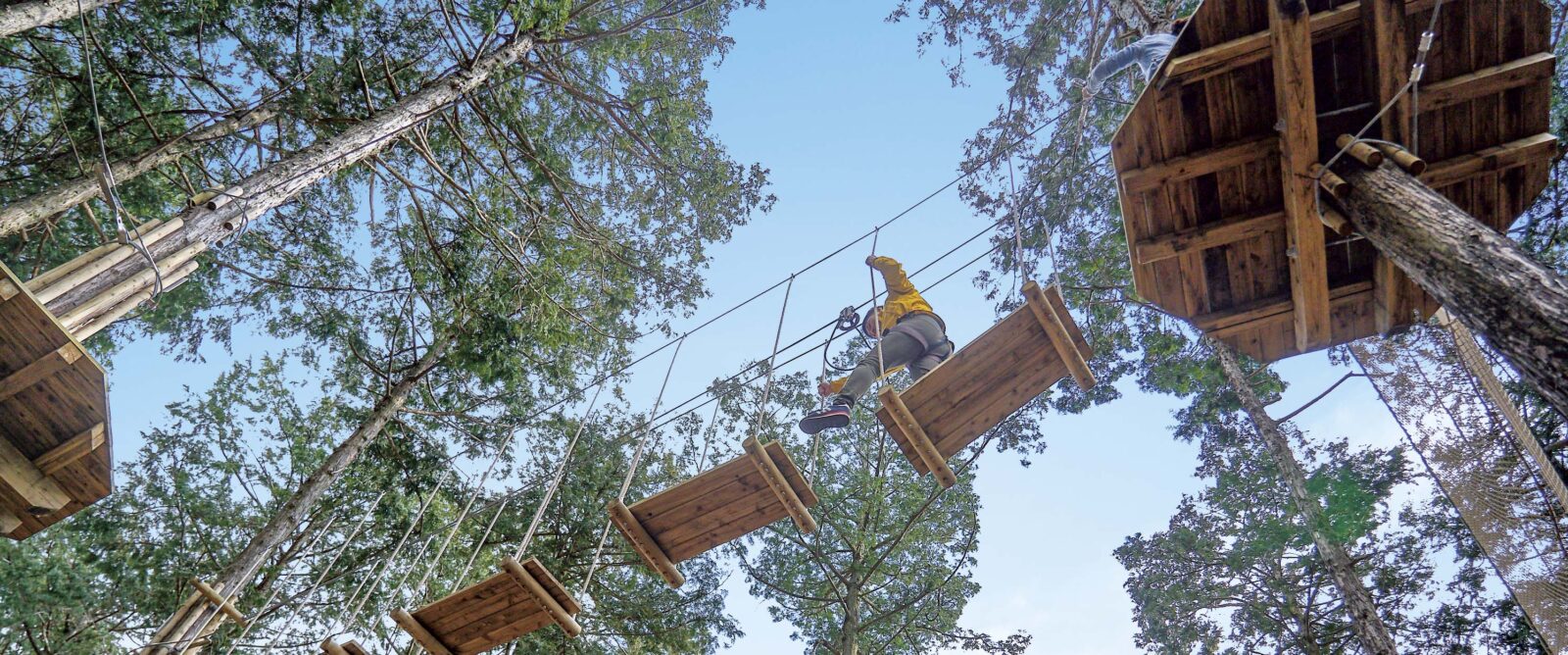 森のアスレチック【フォレストアドベンチャー・三島スカイウォーク  