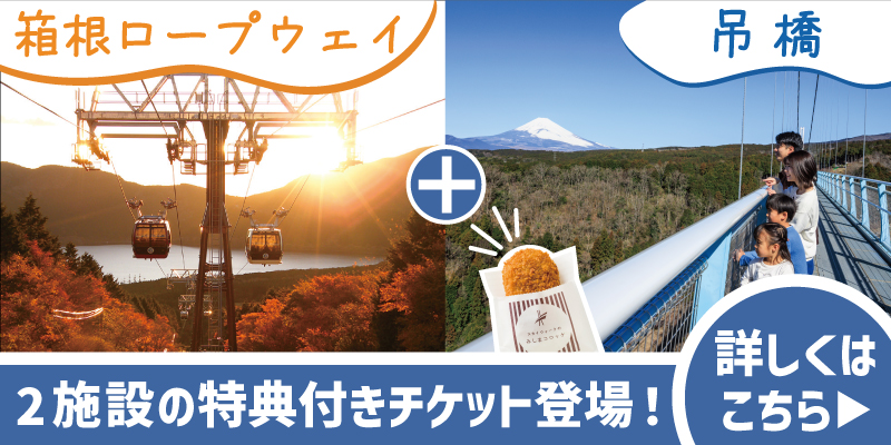 箱根ロープウェイ