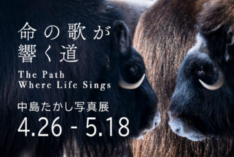 中島たかし 写真展ー命の歌が響く道ー