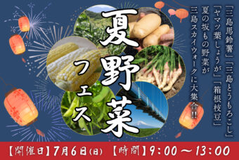 【夏野菜フェス】夏の野菜が勢ぞろい！