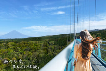 暑さを避けて楽しい観光を！