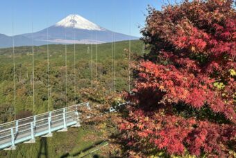 秋のおすすめポイントをご紹介！