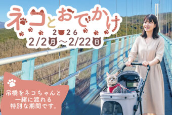 「ネコちゃんと三島スカイウォークを歩こう」