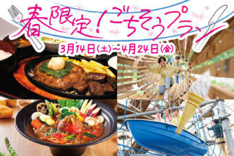 【ドラゴンキャッスル事前予約限定！】お食事セットプラン