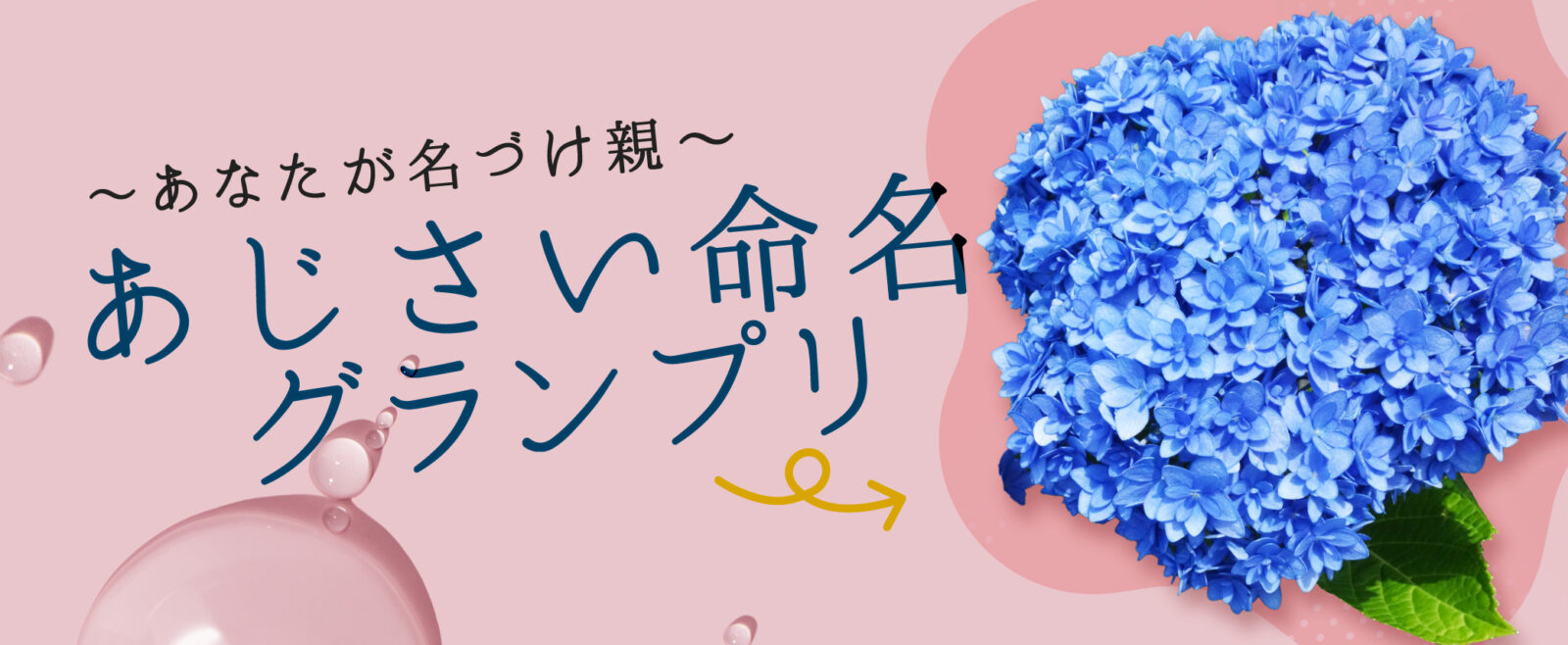 画像に alt 属性が指定されていません。ファイル名: -1600x658.jpg