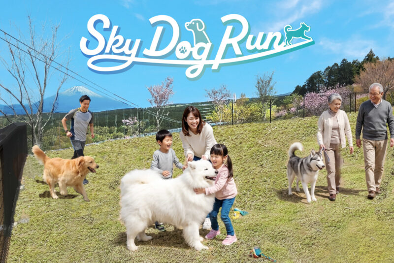 SKY DOG RUN