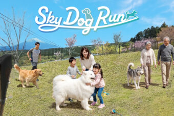 新ドッグラン【SKY DOG RUN】6/8オープン
