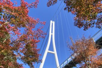 まるで空に浮かんでいる紅葉「空紅葉」と心奪われる夕景「サンセットスカイウォーク」