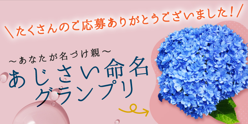 あじさい命名グランプリ