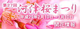 bnr_kawazu